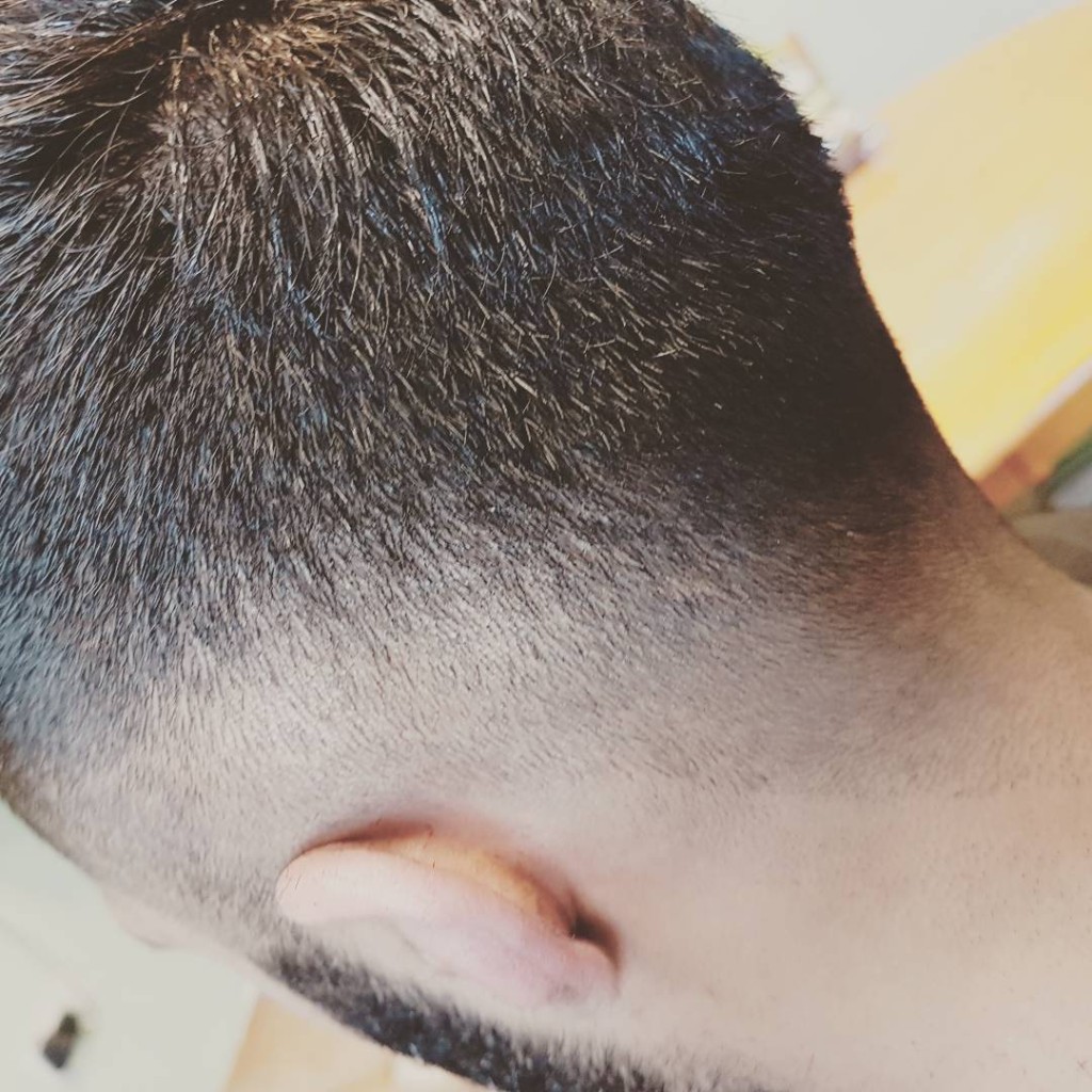 The ultimate grooming experience