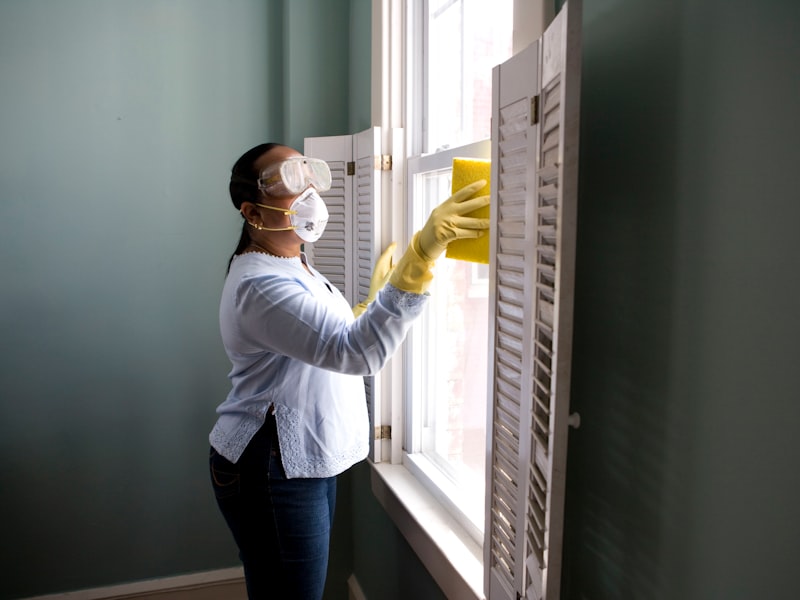 Professional cleaner at work